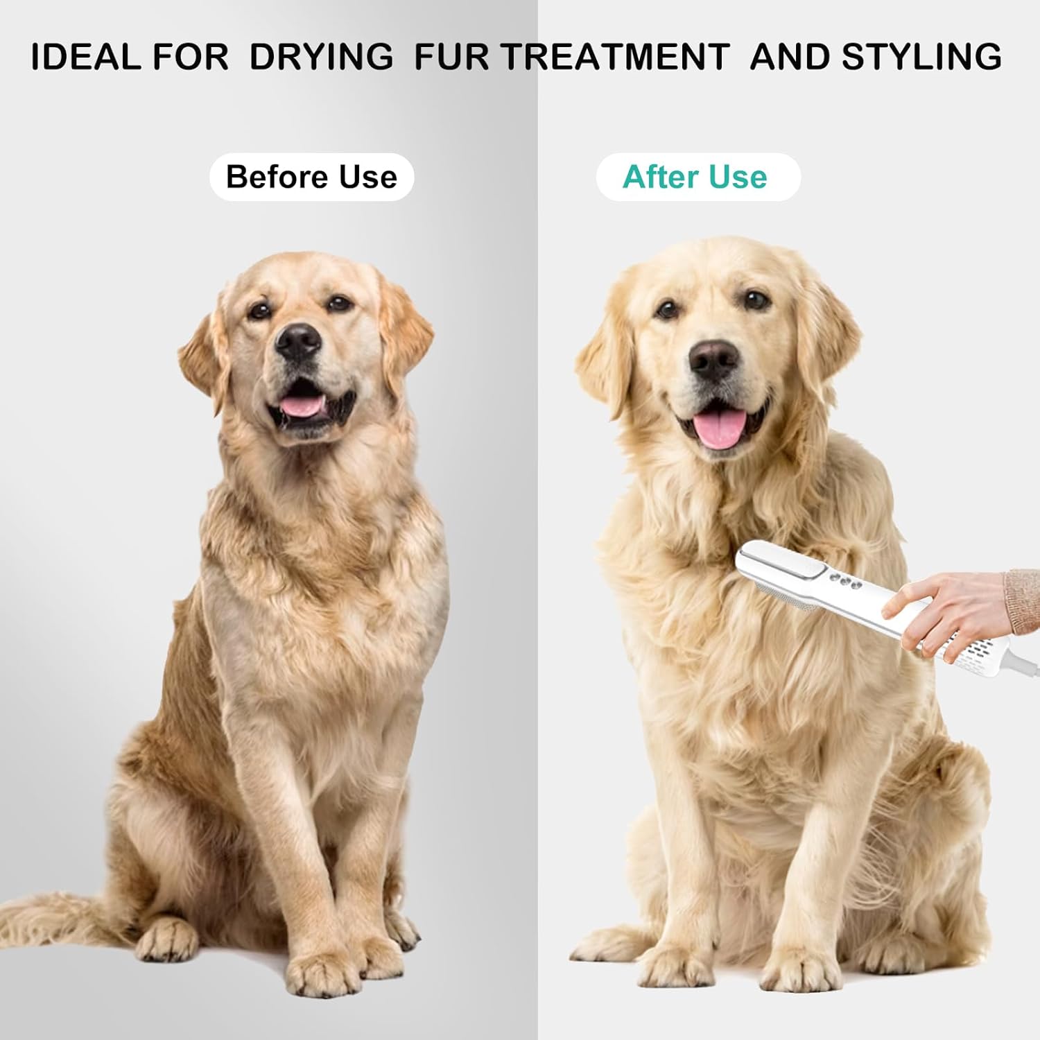 Pet Hair Dryer and Brush 2 in 1 - High and Low Temperature 3 Wind Speed Adjustment, 102000rpm Speed 800W Power Portable and Quiet for Small Medium Cats and Dogs Grooming Hair (TH201) - Image 2